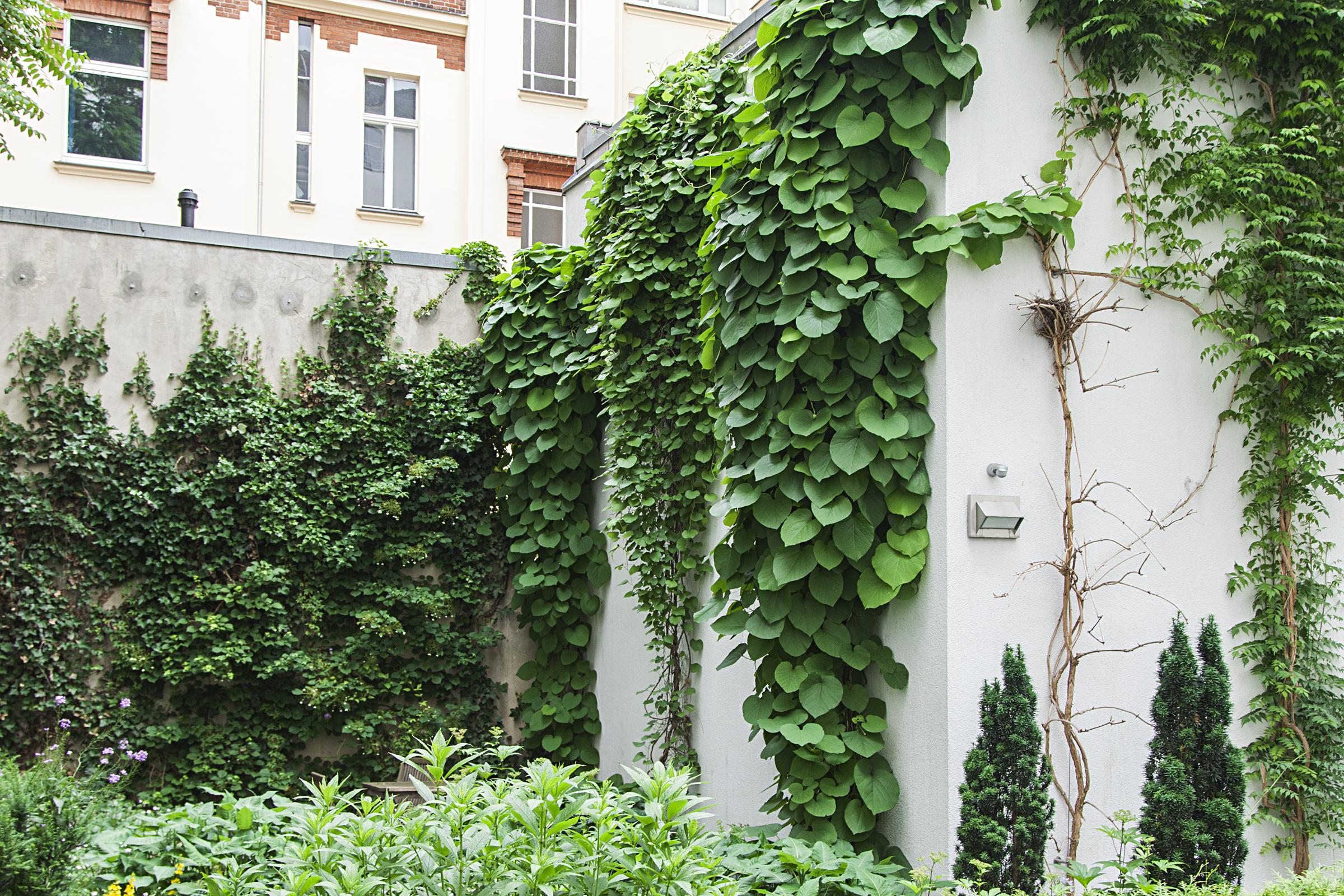 Quentin Design Hotel Berlin Berlim Exterior foto